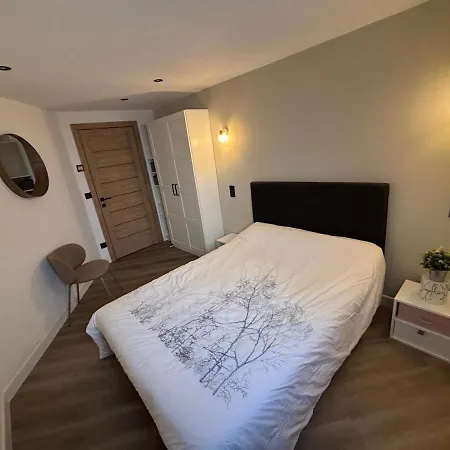 Nouveau T3 Rdc 100m Du Parc Apartment